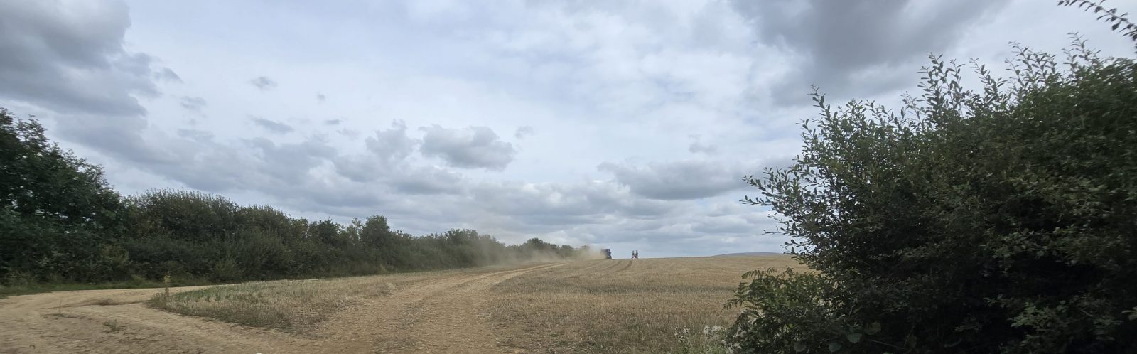 Farmers field in Folly Gate, with a tractor pulling a trailor in the distance with a hay bob left to the right of it, the field has been cut and the tractor is kicking up soil dust in its wake