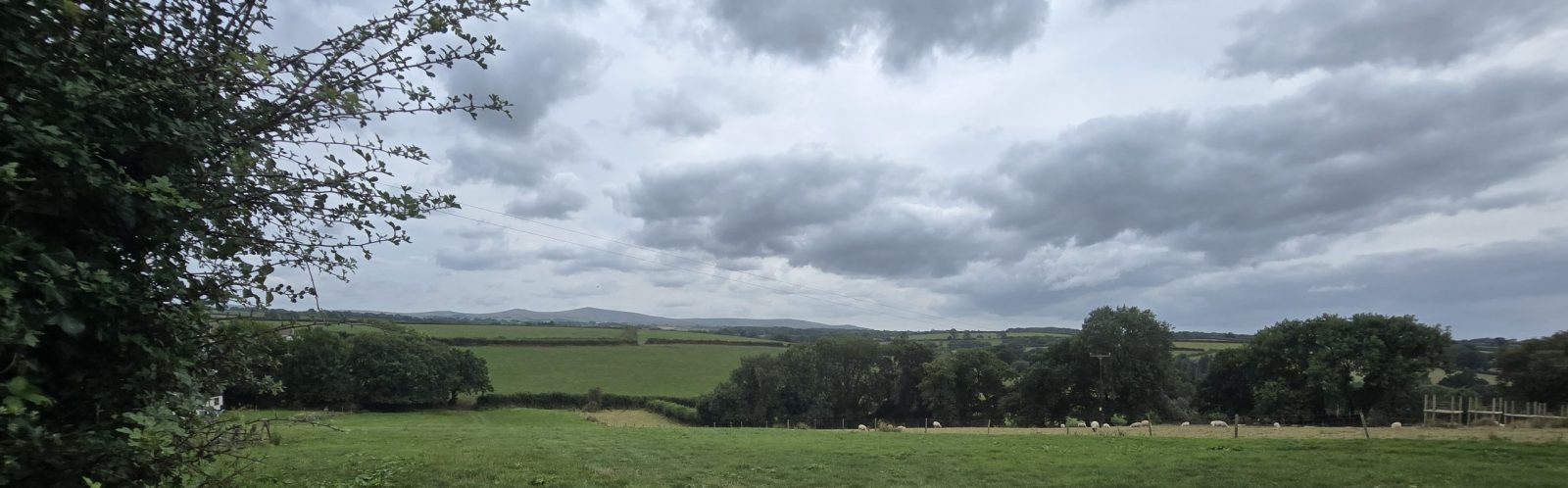 View over farmland in Inwardleigh, with far reaching views over to Dartmoor, with trees and sheep being visible